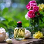 عطر ادکلن پاریس ایو سن لوران - Paris Yves Saint Laurent - بررسی، قیمت و خرید