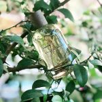 عطر ادکلن لیمِت 37 سن فراسیسکو له لابو - Limette 37 San Francisco Le Labo - بررسی، قیمت و خرید