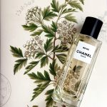 عطر ادکلن بژ او د پرفیوم چنل - Beige Eau de Parfum Chanel - بررسی، قیمت و خرید