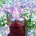 عطر ادکلن اور بلوم گینزا فلاور شیسیدو - Ever Bloom Ginza Flower Shiseido - بررسی، قیمت و خرید
