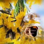 عطر ادکلن لابل سیزن هوبیگانت - La Belle Saison Houbigant - بررسی، قیمت و خرید
