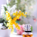 عطر ادکلن ژیوانشی هاروست ۲۰۰۷ آماریج میموسا ژیوانشی - Givenchy Harvest 2007 Amarige Mimosa Givenchy - بررسی، قیمت و خرید
