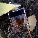 عطر ادکلن الیپس ژاک فت - Ellipse Jacques Fath - بررسی، قیمت و خرید