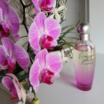 عطر ادکلن پِلِژِرز اینتِنس استی لادر - Pleasures Intense Estée Lauder - بررسی، قیمت و خرید