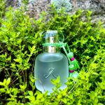 عطر ادکلن آن زست د رز لز پارفوم دِ روسین - Un Zeste de Rose Les Parfums de Rosine - بررسی، قیمت و خرید
