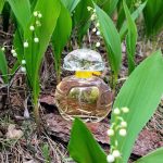 عطر ادکلن لابل سیزن هوبیگانت - La Belle Saison Houbigant - بررسی، قیمت و خرید