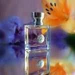 عطر ادکلن ورساچه پوره فم ورساچه - Versace Pour Femme Versace - بررسی، قیمت و خرید