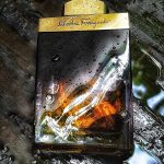 عطر ادکلن سالواتور فرگامو فرگامو عود سالواتوره فراگامو - Salvatore Ferragamo Ferragamo Oud Salvatore Ferragamo - بررسی، قیمت و خرید