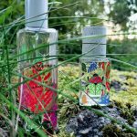 عطر ادکلن نیچر اینسولنت مَزُن ماتین - Nature Insolente Maison Matine - بررسی، قیمت و خرید