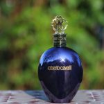 عطر ادکلن اود القصر روبرتو کاوالی - Oud al Qasr Roberto Cavalli - بررسی، قیمت و خرید