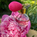 عطر ادکلن پیونه فیری ژان آن پرووانس - Pivoine Feerie Jeanne en Provence - بررسی، قیمت و خرید