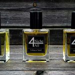 عطر ادکلن بنزو وانیل نیچ فور آل - Benzo Vanil Niche4All - بررسی، قیمت و خرید