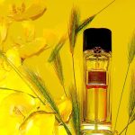 عطر ادکلن گرانادا اسکار د لا رنتا - Granada Oscar de la Renta - بررسی، قیمت و خرید