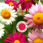 عطر ادکلن شانزه‌لیزه او دو توالت گرلن - Champs-Élysées Eau de Toilette Guerlain - بررسی، قیمت و خرید