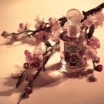 عطر ادکلن چری بلوسم مونوتیم ونیزیا - Cherry Blossom Monotheme Venezia - بررسی، قیمت و خرید