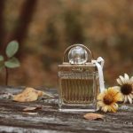 عطر ادکلن لاو استوری کلوئه - Love Story Chloé - بررسی، قیمت و خرید