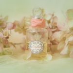 عطر ادکلن الینیشیا پنالیگونز - Ellenisia Penhaligon's - بررسی، قیمت و خرید