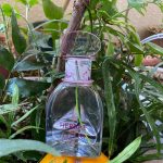عطر ادکلن هِربَل او لوکسیتان ان پرووانس - Herbae L'Eau L'Occitane en Provence - بررسی، قیمت و خرید