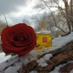 عطر ادکلن کراسنایا روزا نووایا زاریا - Красная Роза (Red Rose) Новая Заря (The New Dawn) - بررسی، قیمت و خرید