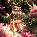 عطر ادکلن اسنت سولی د نرولی ایسی میاکه - A Scent Soleil de Neroli Issey Miyake - بررسی، قیمت و خرید