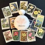 عطر ادکلن مگنولیا ایوروشه - Magnolia Yves Rocher - بررسی، قیمت و خرید