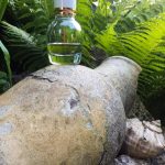 عطر ادکلن ا گرل این کاپری لنوین - A Girl In Capri Lanvin - بررسی، قیمت و خرید