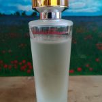 عطر ادکلن توسکان سول سالواتوره فراگامو - Tuscan Soul Salvatore Ferragamo - بررسی، قیمت و خرید