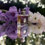 عطر ادکلن ورساچه پوره فم ورساچه - Versace Pour Femme Versace - بررسی، قیمت و خرید