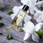 عطر ادکلن گاردنیا شنل - Gardénia Chanel - بررسی، قیمت و خرید