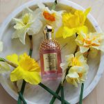 عطر ادکلن آکوا الگوریا فلورابلوم فورت گرلن - Aqua Allegoria Florabloom Forte Guerlain - بررسی، قیمت و خرید