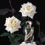 عطر ادکلن مالمیسون دوازده پرفیومر فرانسوی - Malmaison 12 Parfumeurs Francais - بررسی، قیمت و خرید