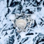 عطر ادکلن ولاره فوراور اوریفلیم - Volare Forever Oriflame - بررسی، قیمت و خرید