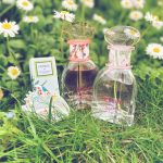 عطر ادکلن هِربَل او لوکسیتان ان پرووانس - Herbae L'Eau L'Occitane en Provence - بررسی، قیمت و خرید