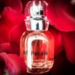 عطر ادکلن اچ اند ام پتالز - فرش فلاورز اچ اند ام - H&M Petals - Fresh Flowers H&M - بررسی، قیمت و خرید