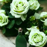 عطر ادکلن ایدن کاچارل - Eden Cacharel - بررسی، قیمت و خرید