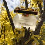 عطر ادکلن اسپشیالی اسکادا دلیکیت نوتس اسکادا - Especially Escada Delicate Notes Escada - بررسی، قیمت و خرید