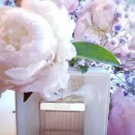 عطر ادکلن کلوئه او دو توالت کلوئه - Chloé Eau de Toilette (2015) Chloé - بررسی، قیمت و خرید