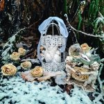 عطر ادکلن ولاره فوراور اوریفلیم - Volare Forever Oriflame - بررسی، قیمت و خرید