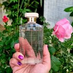 عطر ادکلن استلا او د توالت استلا مک‌کارتنی - Stella Eau de Toilette Stella McCartney - بررسی، قیمت و خرید