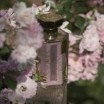 عطر ادکلن رز پریو لارتیزان پرفیومر - Rose Privée L'Artisan Parfumeur - بررسی، قیمت و خرید