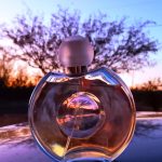 عطر ادکلن فوراور الیزابت الیزابت تیلور - Forever Elizabeth Elizabeth Taylor - بررسی، قیمت و خرید