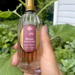 عطر ادکلن روز نویت د مای لوکستان - Rose Nuit de Mai L'Occitane en Provence - بررسی، قیمت و خرید