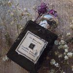 عطر ادکلن تیوبرز آنجلکا جو مالون لندن - Tuberose Angelica Jo Malone London - بررسی، قیمت و خرید