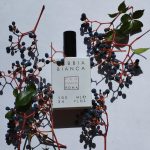 عطر ادکلن سابیا بیانکا پرفیوم روم - Sabbia Bianca Profumum Roma - بررسی، قیمت و خرید