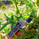 عطر ادکلن تیوبرز تری انیمال هیستور د پارفوم - Tubereuse 3 Animale Histoires de Parfums - بررسی، قیمت و خرید