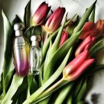 عطر ادکلن پِلِژِرز اینتِنس استی لادر - Pleasures Intense Estée Lauder - بررسی، قیمت و خرید