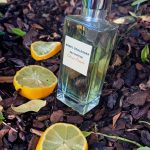 عطر ادکلن او فرش سیتروس پوملو انجل شلسر - Eau Fraîche Citrus Pomelo Angel Schlesser - بررسی، قیمت و خرید