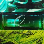 عطر ادکلن تورکواتیک مک - Turquatic MAC - بررسی، قیمت و خرید