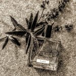 عطر ادکلن لاپلوی میلل هریس - La Pluie Miller Harris - بررسی، قیمت و خرید