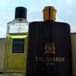 عطر ادکلن اوئومو تروساردی ۲۰۱۱ تروساردی - Uomo Trussardi 2011 Trussardi - بررسی، قیمت و خرید